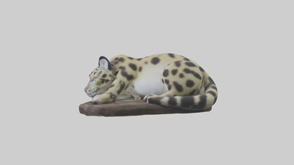 Clouded Leopard sleeping model VR / AR / low-poly