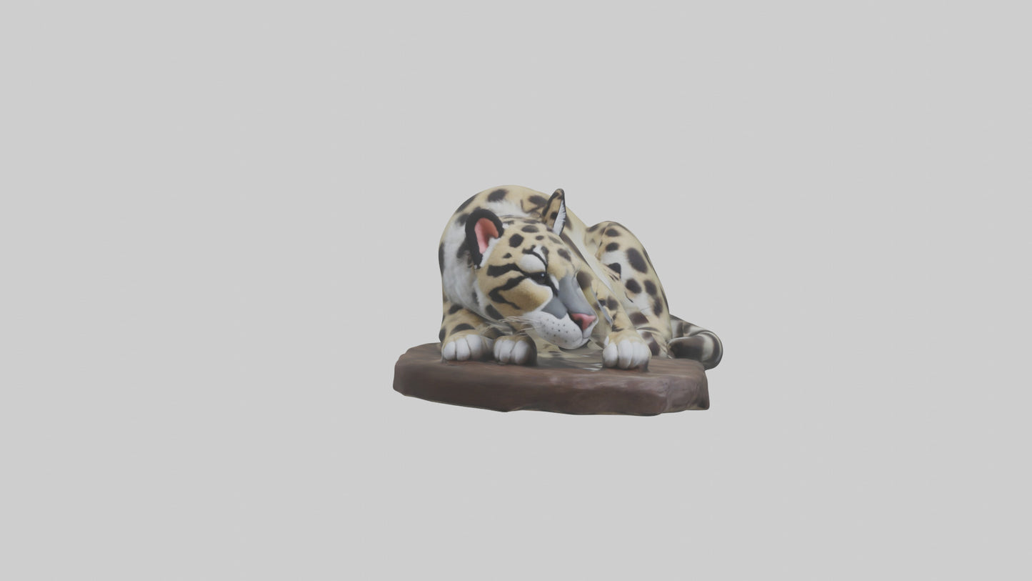 Clouded Leopard sleeping model VR / AR / low-poly