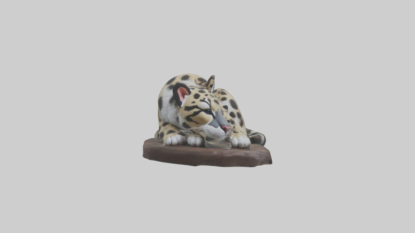 Clouded Leopard sleeping model VR / AR / low-poly