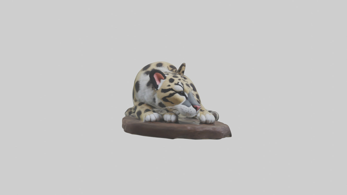 Clouded Leopard sleeping model VR / AR / low-poly