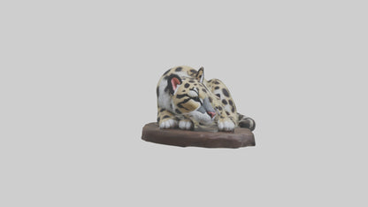 Clouded Leopard sleeping model VR / AR / low-poly