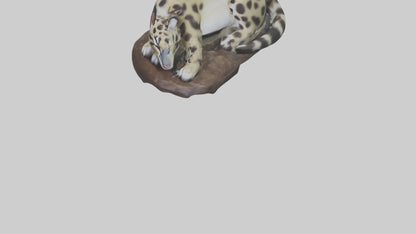 Clouded Leopard sleeping model VR / AR / low-poly