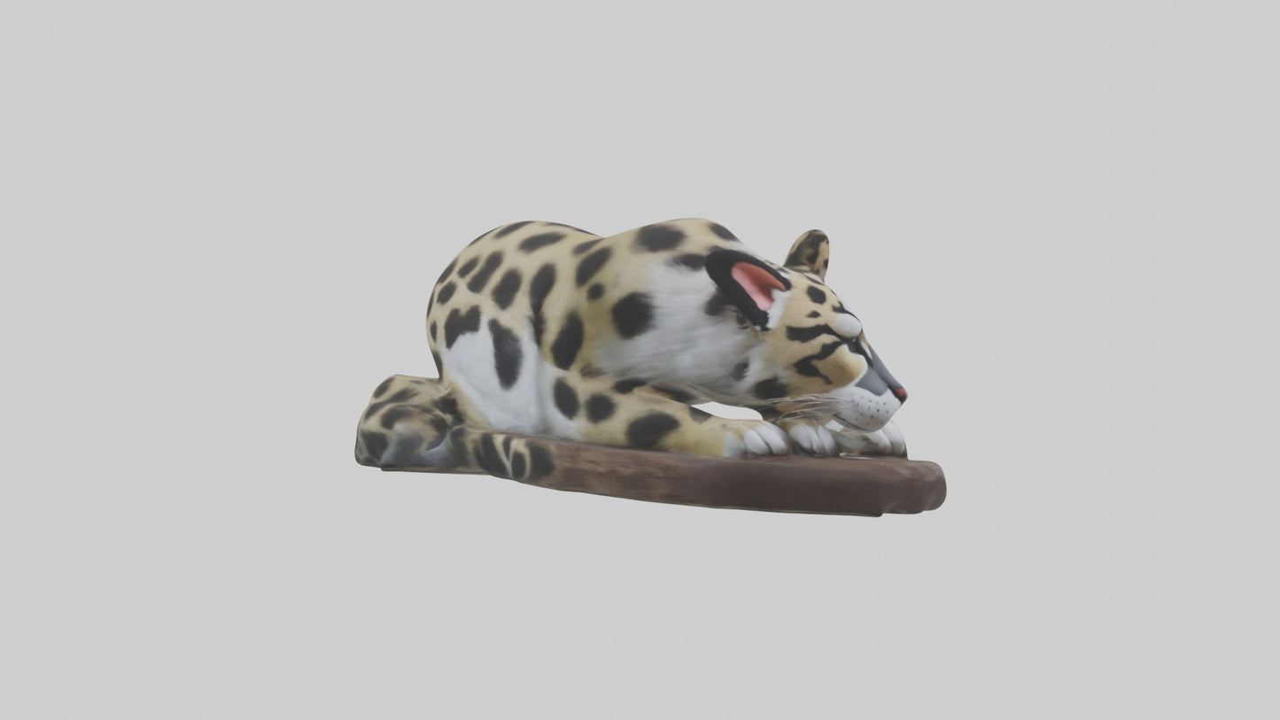 Clouded Leopard sleeping model VR / AR / low-poly
