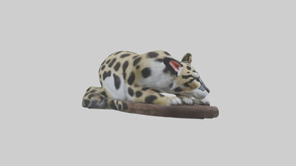 Clouded Leopard sleeping model VR / AR / low-poly