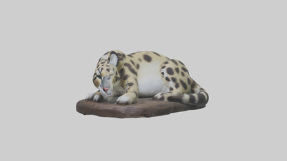 Clouded Leopard sleeping model VR / AR / low-poly