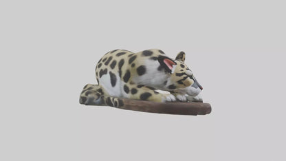 Clouded Leopard sleeping model VR / AR / low-poly