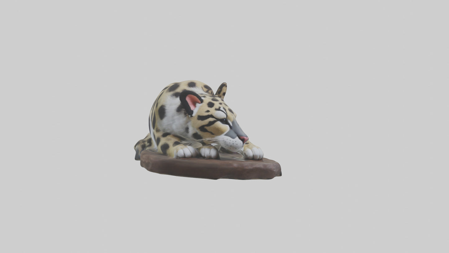 Clouded Leopard sleeping model VR / AR / low-poly