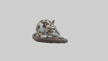 Clouded Leopard sleeping model VR / AR / low-poly