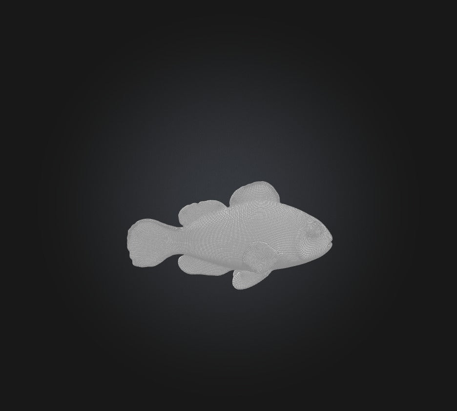 3D model Clownfish VR / AR / low-poly