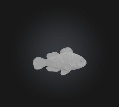 3D model Clownfish VR / AR / low-poly