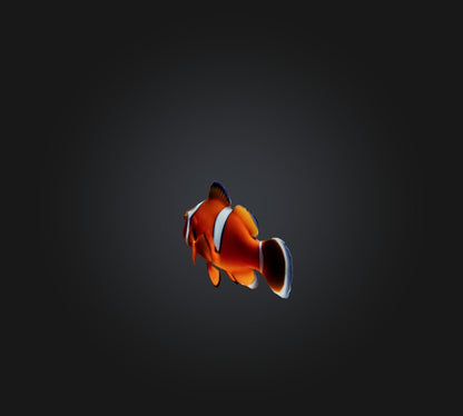 3D model Clownfish VR / AR / low-poly