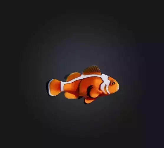 3D model Clownfish VR / AR / low-poly