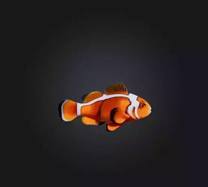 3D model Clownfish VR / AR / low-poly