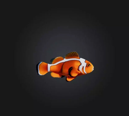 3D model Clownfish VR / AR / low-poly