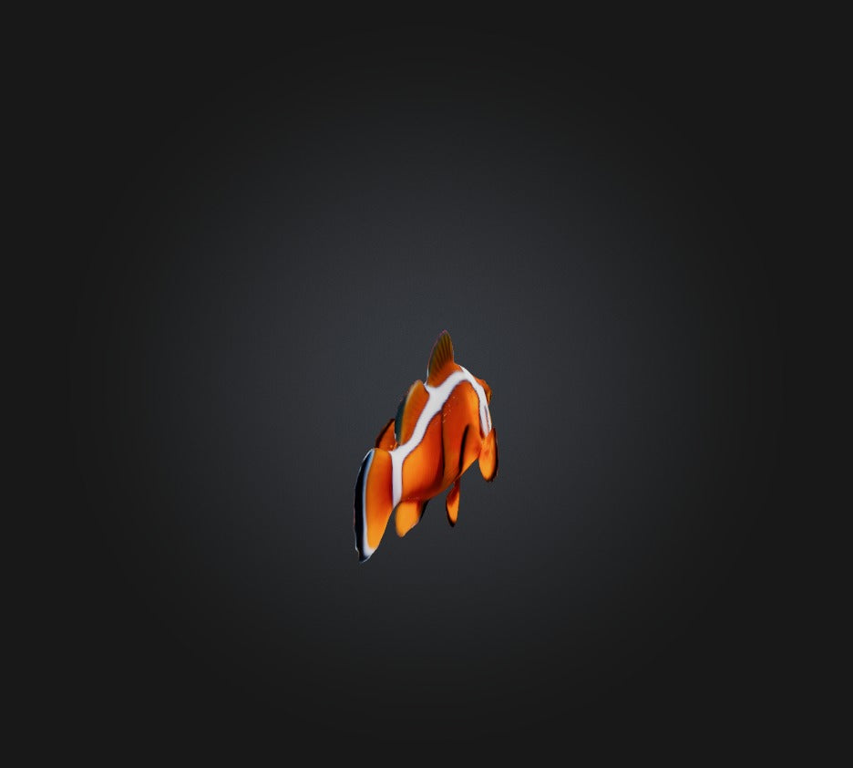 3D model Clownfish VR / AR / low-poly