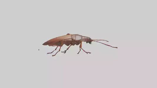 3D model Cockroach scurrying model VR / AR / low-poly