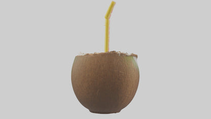3D model Coconut Drink with Straw model VR / AR / low-poly