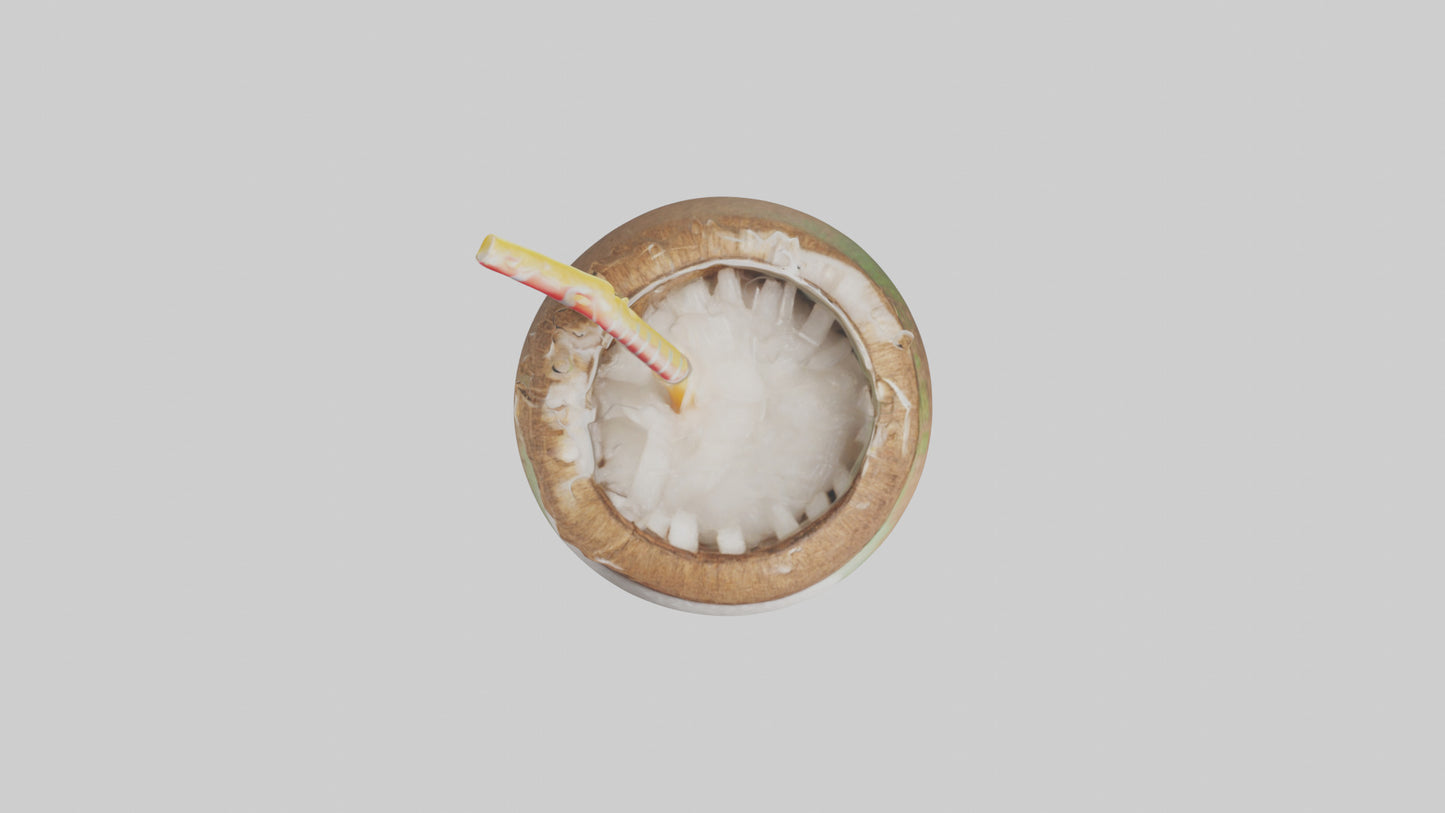 3D model Coconut Drink with Straw model VR / AR / low-poly