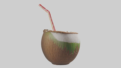 3D model Coconut Drink with Straw model VR / AR / low-poly