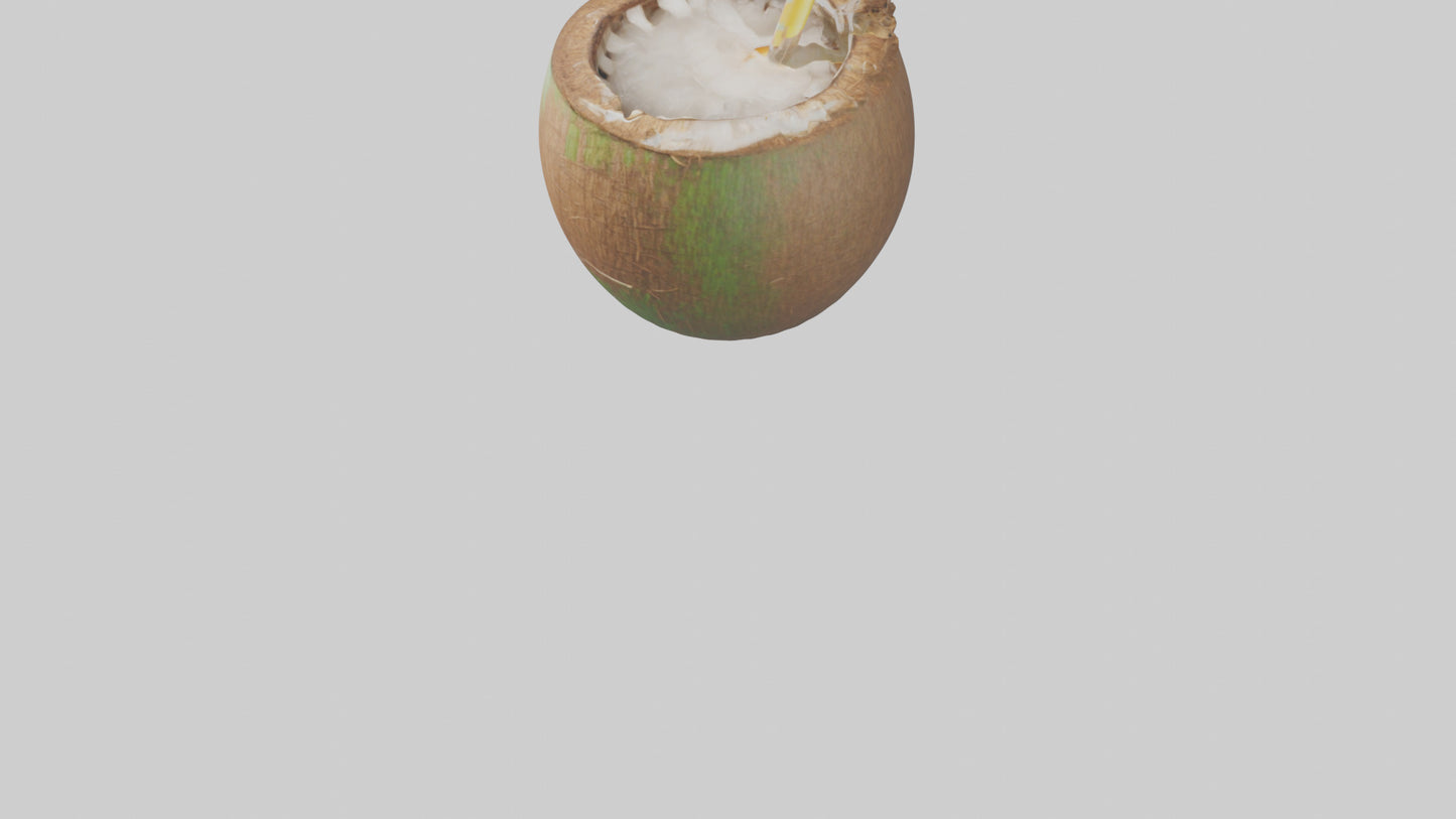 3D model Coconut Drink with Straw model VR / AR / low-poly