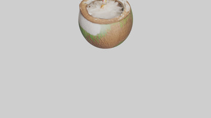 3D model Coconut Drink with Straw model VR / AR / low-poly