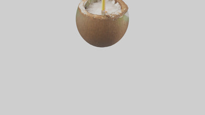 3D model Coconut Drink with Straw model VR / AR / low-poly