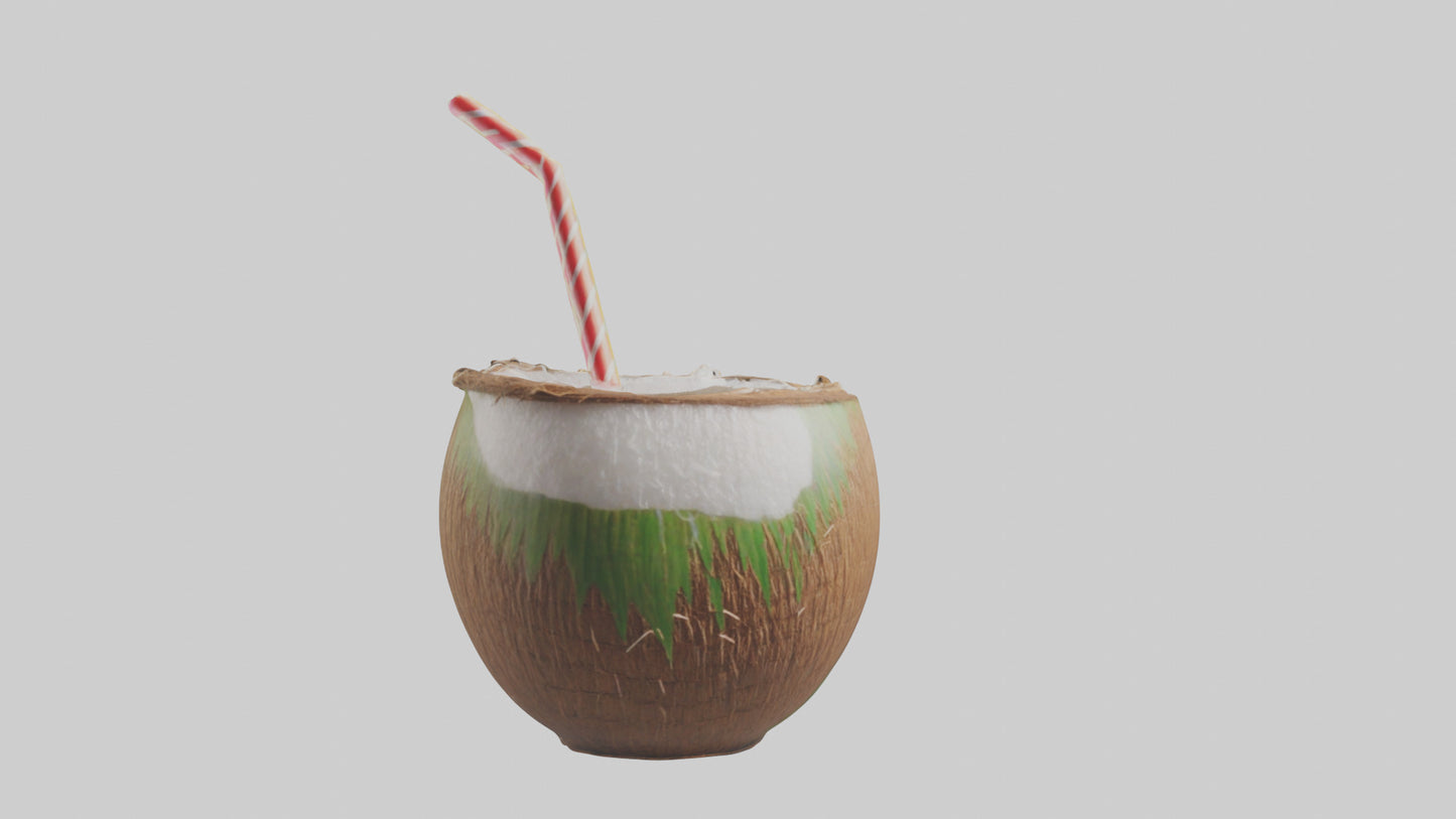 3D model Coconut Drink with Straw model VR / AR / low-poly