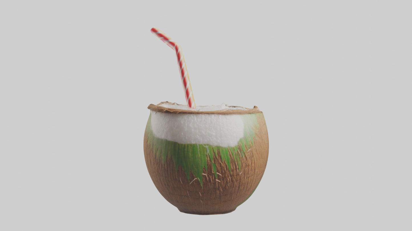 3D model Coconut Drink with Straw model VR / AR / low-poly