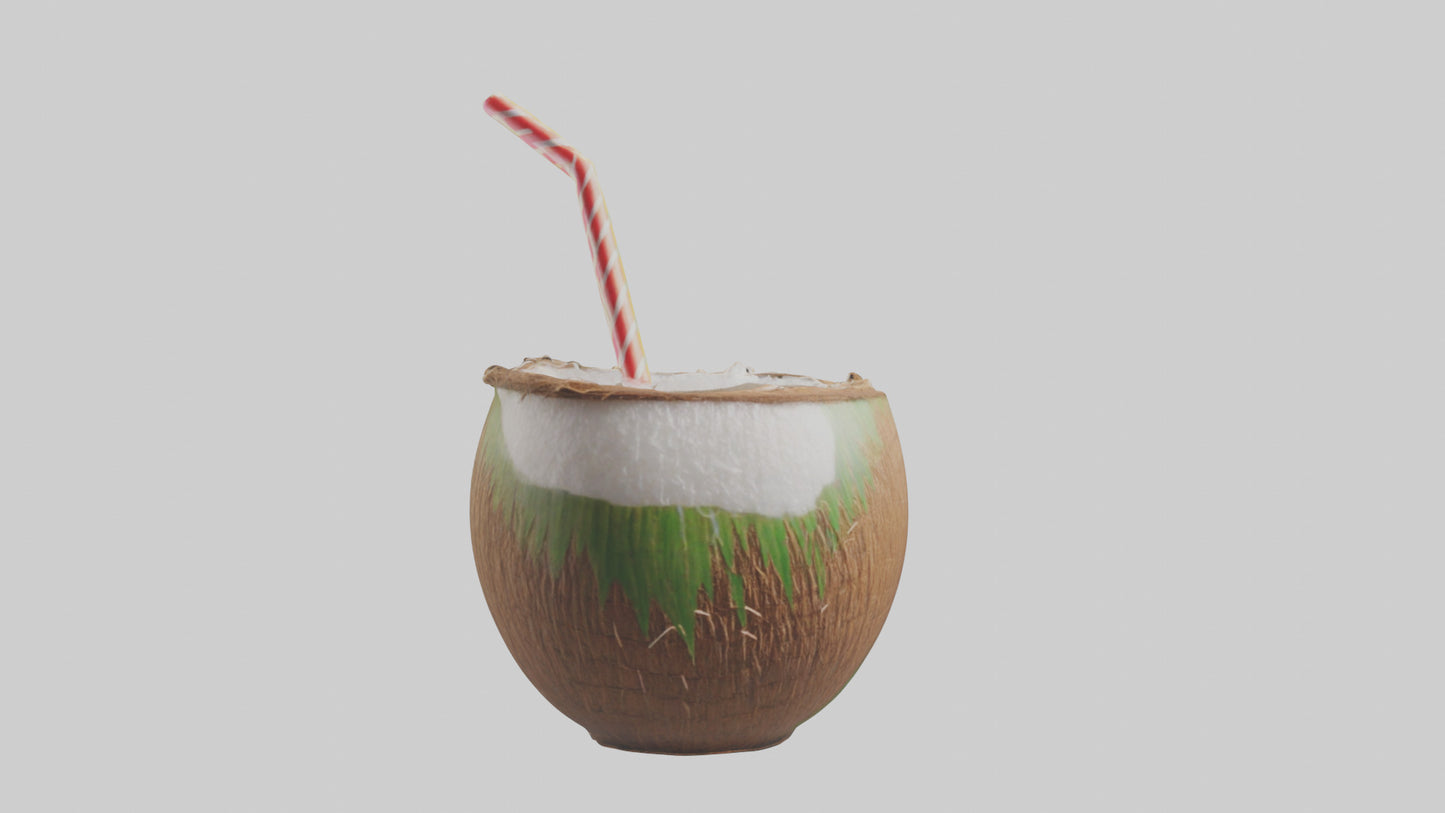 3D model Coconut Drink with Straw model VR / AR / low-poly