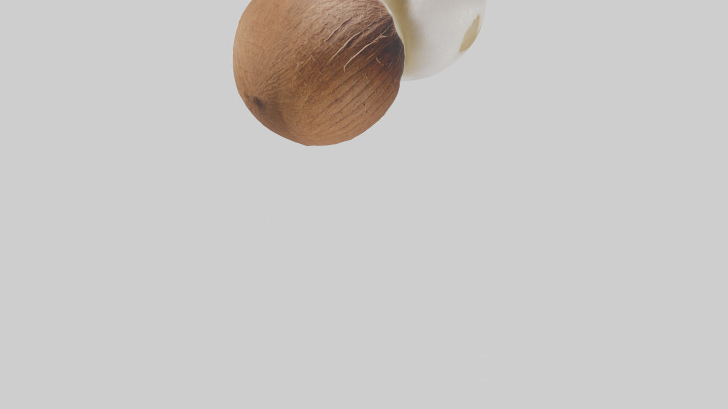 Coconut milk model VR / AR / low-poly