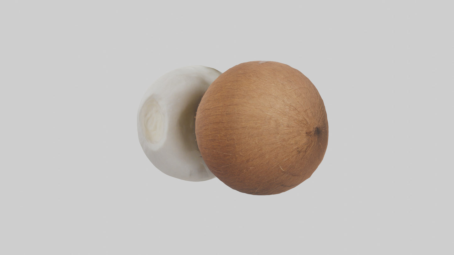 Coconut milk model VR / AR / low-poly