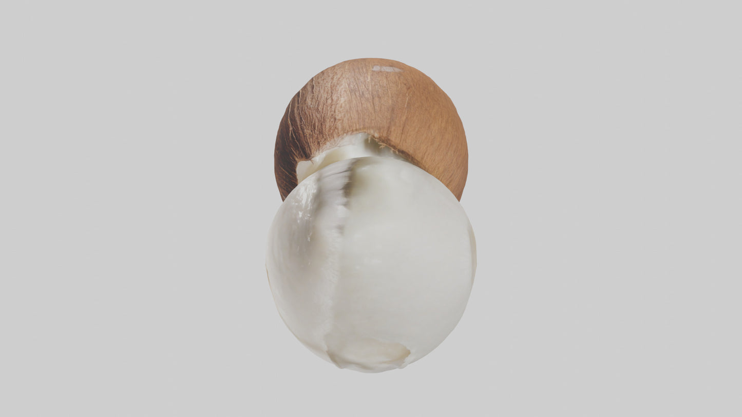 Coconut milk model VR / AR / low-poly