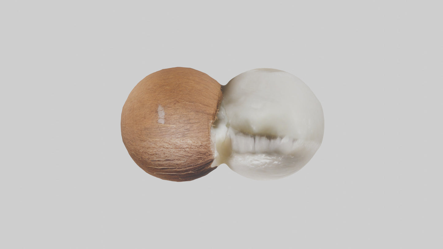 Coconut milk model VR / AR / low-poly