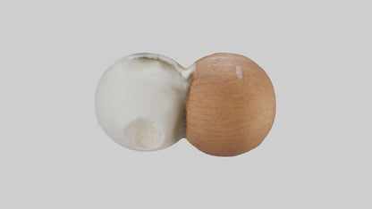 Coconut milk model VR / AR / low-poly