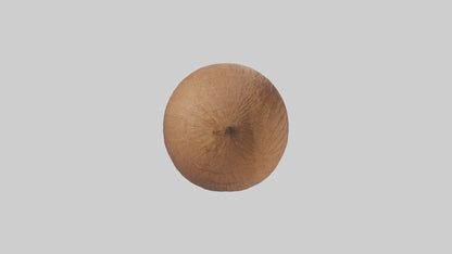 Coconut milk model VR / AR / low-poly
