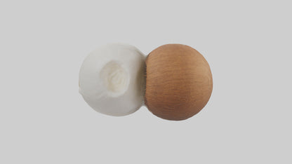 Coconut milk model VR / AR / low-poly