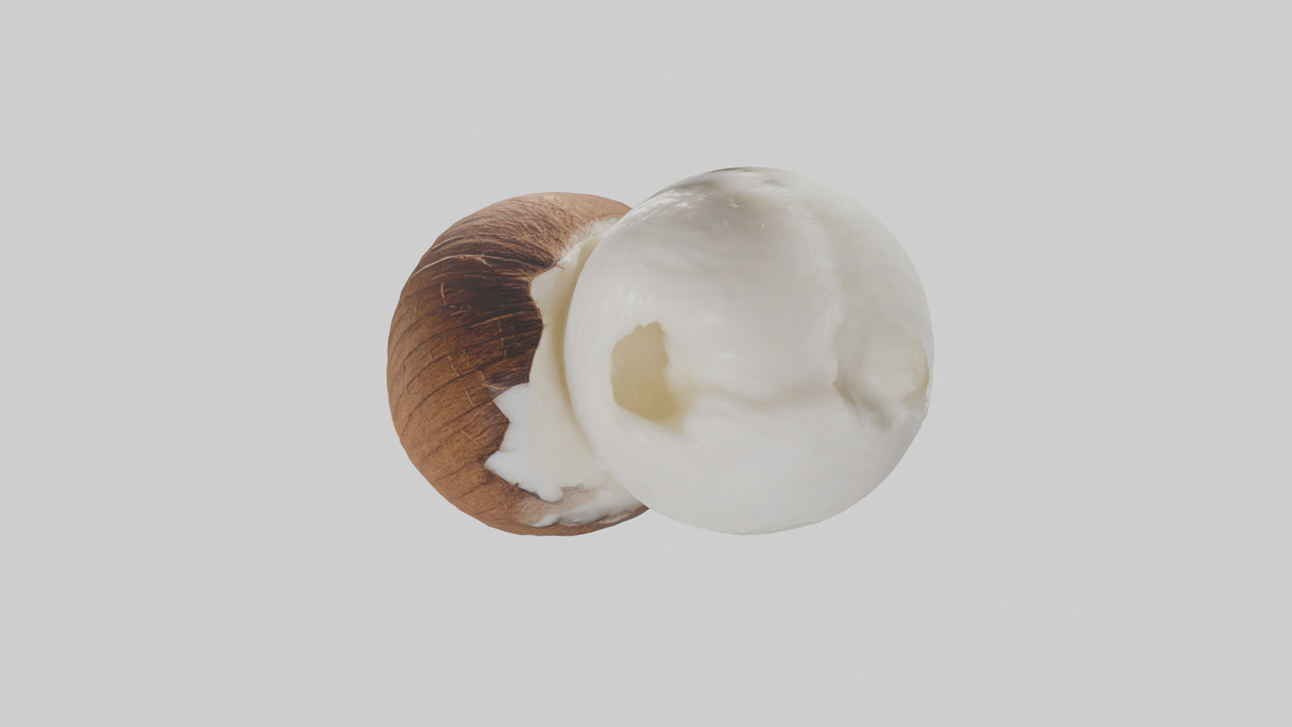 Coconut milk model VR / AR / low-poly