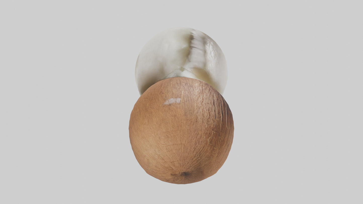 Coconut milk model VR / AR / low-poly