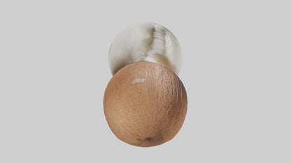 Coconut milk model VR / AR / low-poly