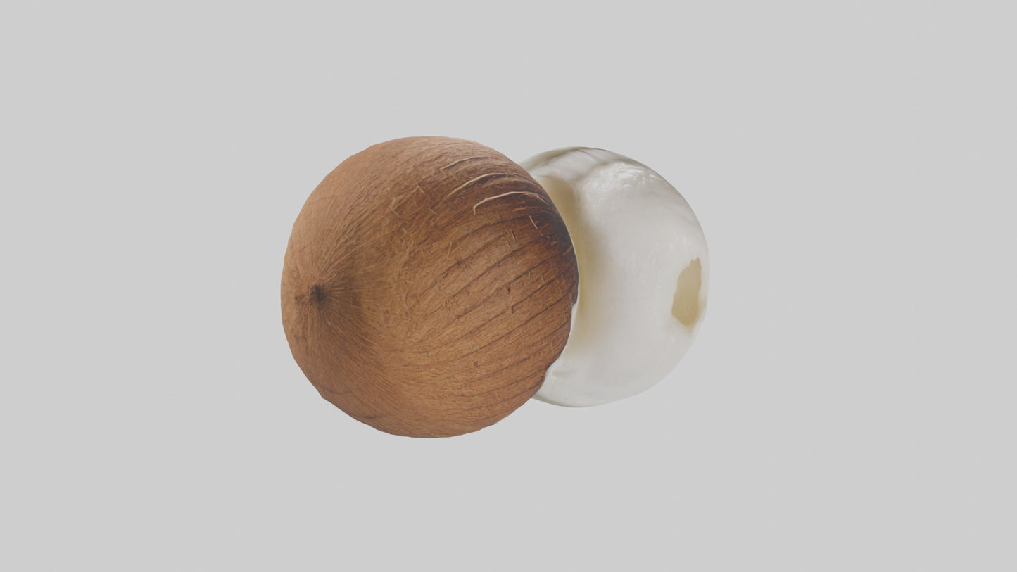 Coconut milk model VR / AR / low-poly