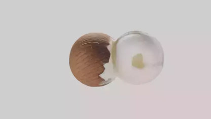 Coconut milk model VR / AR / low-poly