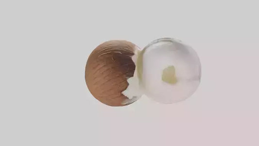 Coconut milk model VR / AR / low-poly