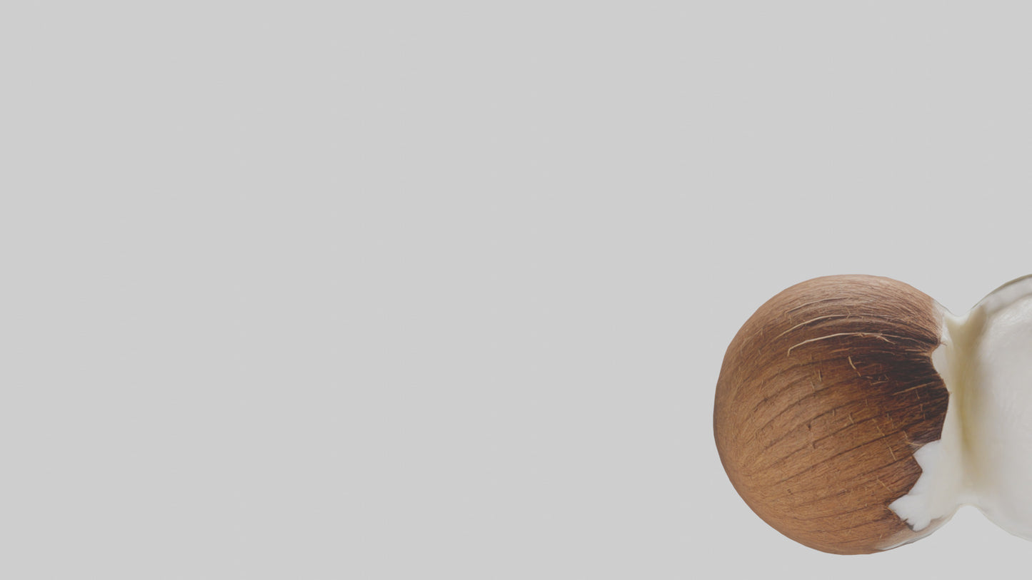 Coconut milk model VR / AR / low-poly