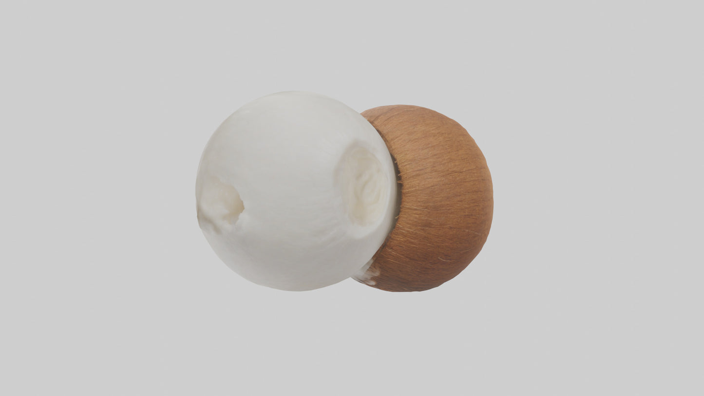 Coconut milk model VR / AR / low-poly