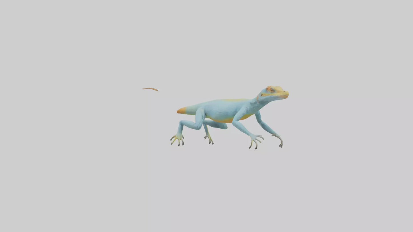 Collared Lizard running model VR / AR / low-poly