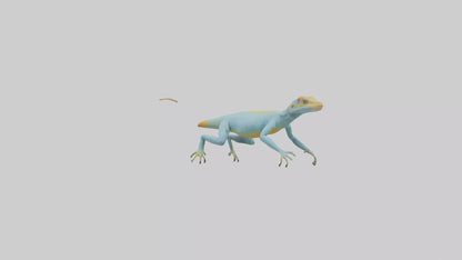 Collared Lizard running model VR / AR / low-poly