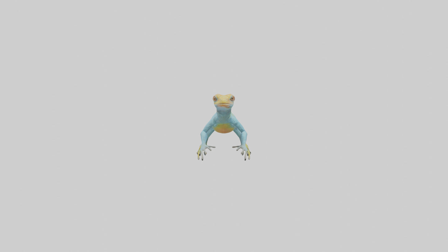 Collared Lizard running model VR / AR / low-poly