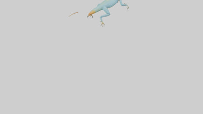 Collared Lizard running model VR / AR / low-poly