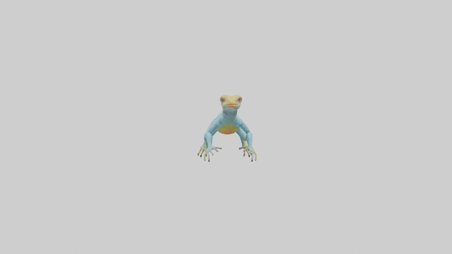 Collared Lizard running model VR / AR / low-poly