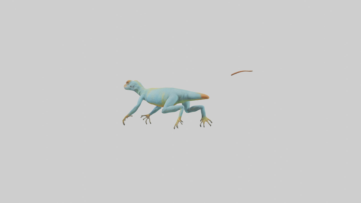 Collared Lizard running model VR / AR / low-poly